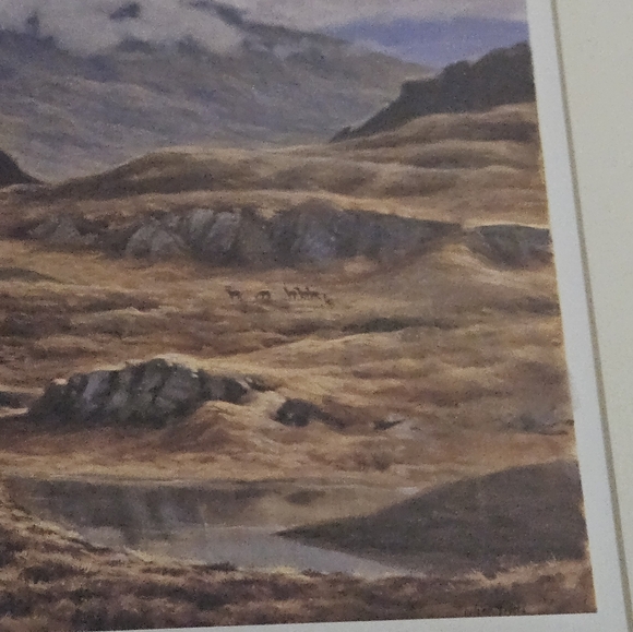 Julian Friers Wildlife Red Stag & Hinds  14"x12" Artwork Print - Picture 6 of 10